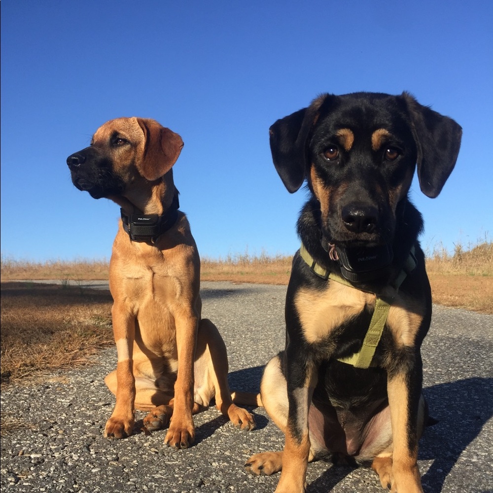 Hello! - Picture 2 of 8